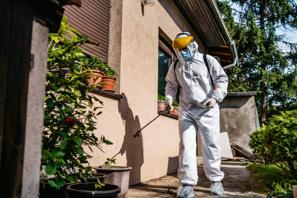Best Wasp Removal Services  in Ecru, MS