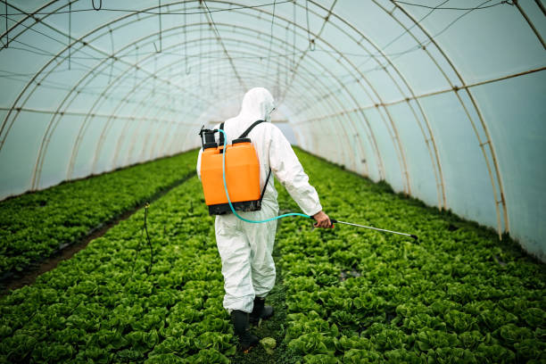 Best Affordable Pest Control Services  in Ecru, MS