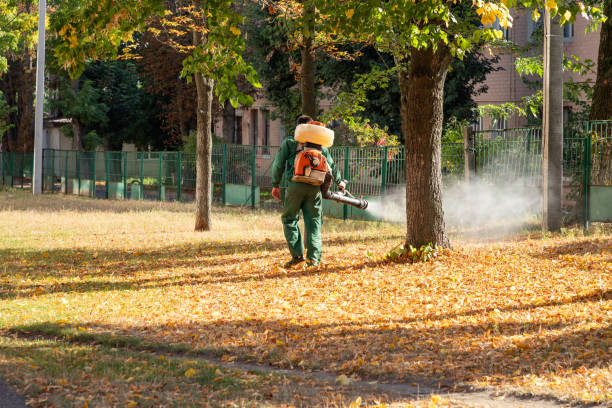 Best Pest Prevention Services  in Ecru, MS